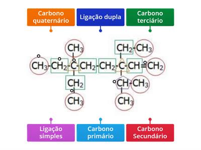 O átomo de carbono