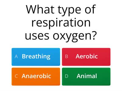 Aerobic Respiration 