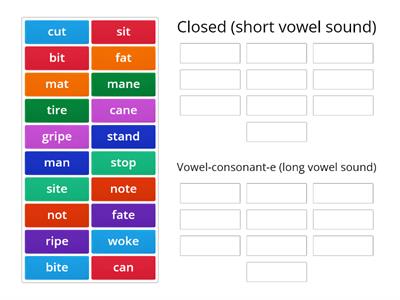 Closed & VCe word sort