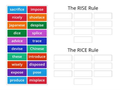 6.3 Rise & Rice Rules Sort