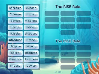 6.3 Rise & Rice Rules Sort