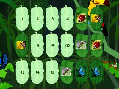 Insects - Memory game