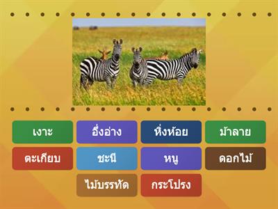 จับคู่รู้สระ - ป.1 ภาษาไทย