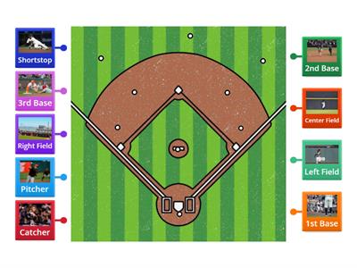 Baseball Position Quiz