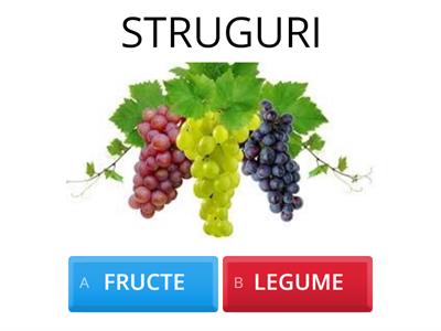 FRUCTE ȘI LEGUME