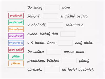 Čeština pro cizince 8 - doplň větu - slovesa