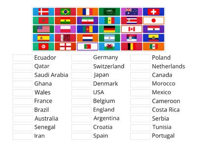 World Cup Flag Match