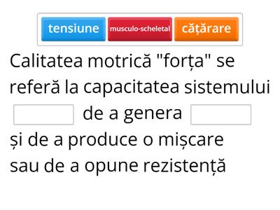 Activitate sportiva