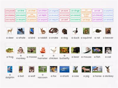 *Des animaux - Vocabulaire - French Level A