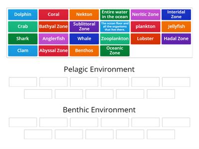 Ocean Environments