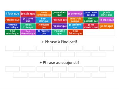 Donner son opinion: Indicatif ou Subjonctif?