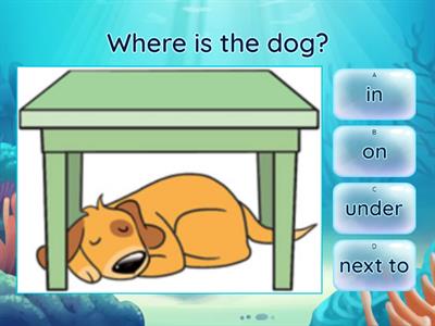 Prepositions - in on under next to  