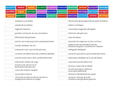 terminología de aparto digestivo parte 5