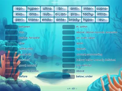 Ch. 1 Prefixes