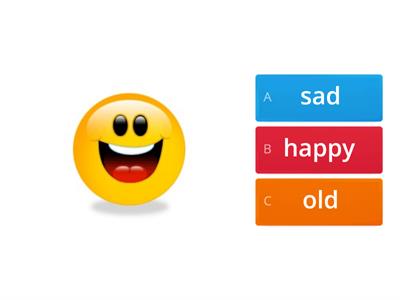  Adjectives (new,old, short, long, tall, young ,happy sad)