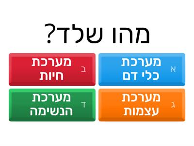 מערכת השלד 