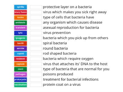 virus and bacteria wordwall