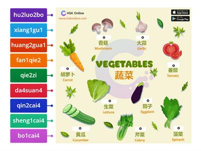蔬菜拼音