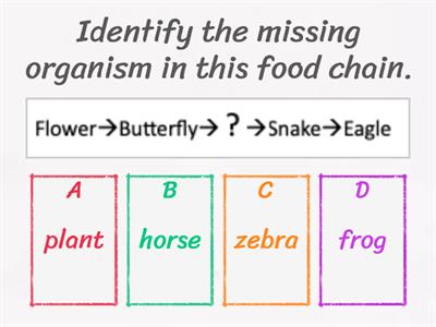 Food Chain - Missing Link (3rd Grade Science)