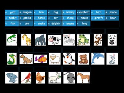 Click 1 - Unit 3 - Animals (match up)