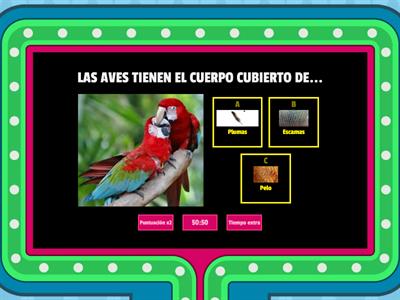 CARACTERÍSTICAS DE LAS AVES