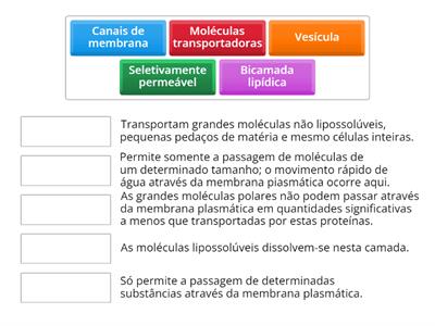 Movimento Através da Membrana Plasmática