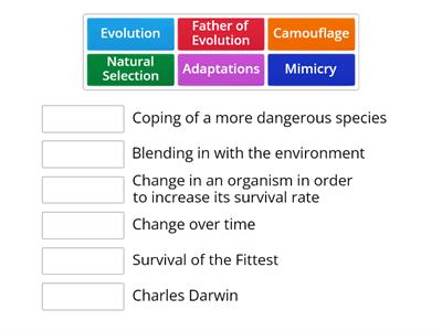 INDLS Evolution Match-Up