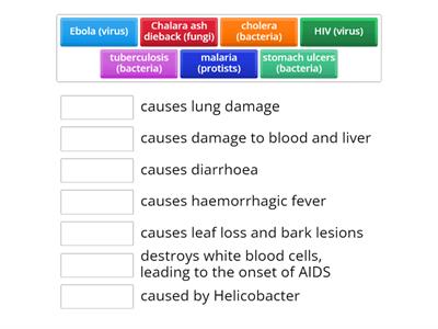 Edexcel - ﻿Describe some common infections (disease name & pathogen type given)