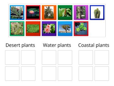 adaptation in plants