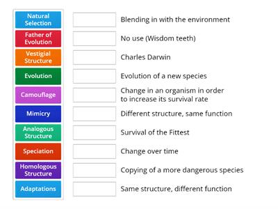 Evolution Match-Up