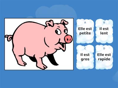 G2B: Les adjectifs/ les animaux - les habitats - les consignes