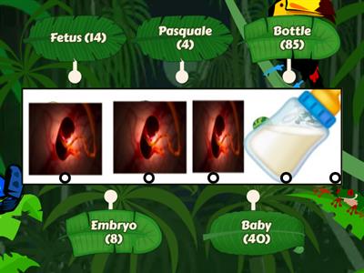 Embryo Sequencing Session 22