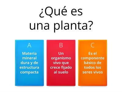 Las plantas y sus partes