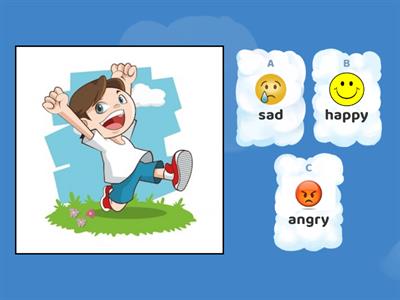 emotions (happy,sad,angry,sleepy,scared)
