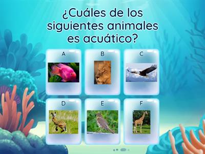 Habitat y animales chilenos - Recursos didácticos