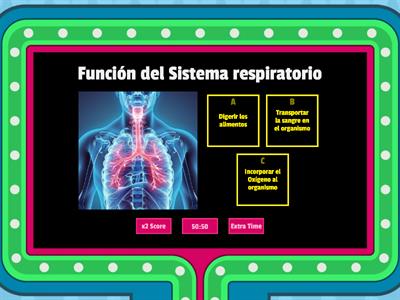 Sistema Respiratorio