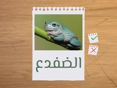 اللام الشمسية واللام القمرية