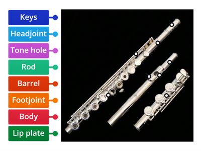 Flute Anatomy
