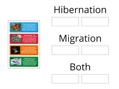 Migration Hibernation card sort