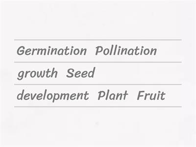 Plant life cycle