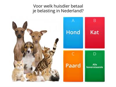 Typisch Nederlands Toets (Nederlands op Niveau, H4)