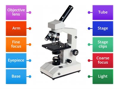 CAX KS3 Labeling Microscope