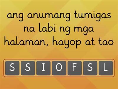 Ayusin ang mga titik upang mabuo ang salitang tinutukoy sa paglalarawan.