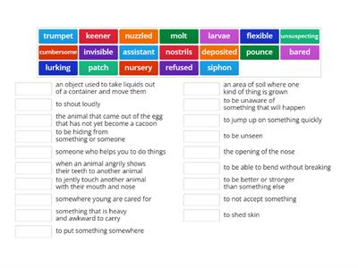 HMH G3 M6 vocabulary 