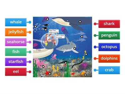 Label sea animals