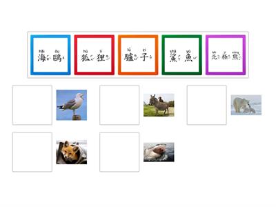 學華語向前走 B1 第九課 動物