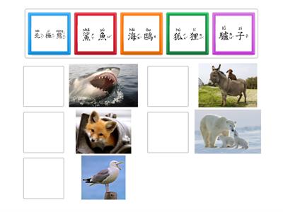 學華語向前走 B1 第九課 動物