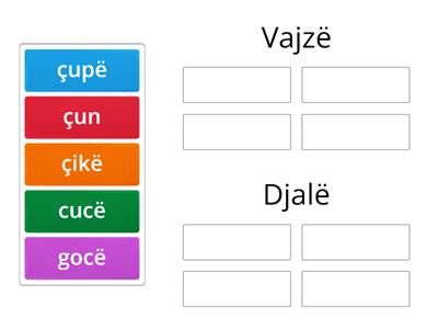 Vendos fjalët në kollonën e duhur 