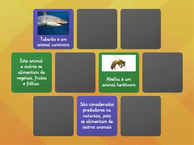Características dos animais herbívoros, onívoros e carnívoros