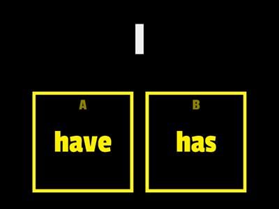 SS3U3 have/has-Quiz 1